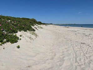 A sandy beach with green vegetation and pink flowers on the left. - 3 Person Holiday Home in Sydals (Sydals)