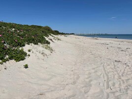 Una playa arenosa con vegetación verde y flores rosadas a la izquierda.