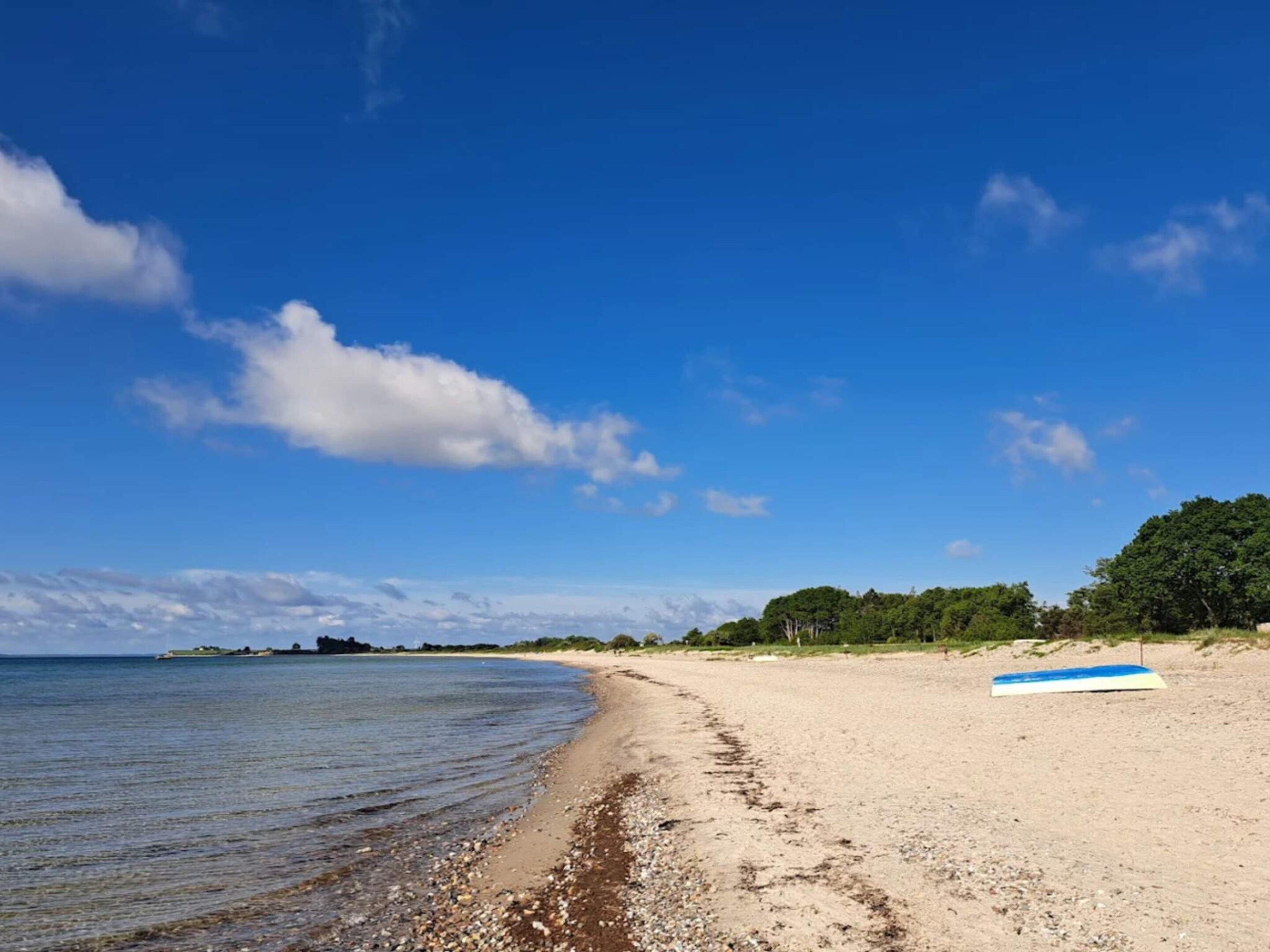 Ein Strand mit blauem Himmel, ruhigem Wasser und einem blauen Surfbrett im Sand.