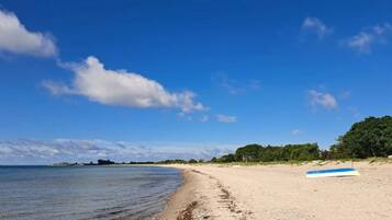 Ein Strand mit blauem Himmel, ruhigem Wasser und einem blauen Surfbrett im Sand.