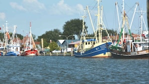 A harbor with several fishing boats docked, surrounded by buildings and trees. - "norderney" in the Achter de Waterkant House (Büsum)