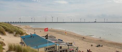 House | View from property