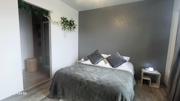 Une chambre moderne avec un lit, deux tables de chevet, une petite table et une plante fixée au mur.