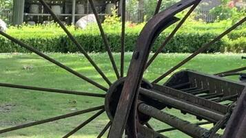 House | Property grounds