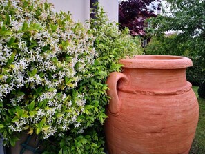 A large terracotta pot next to a bush with white flowers. - Villa Hermanno - Stunning View (Luino)