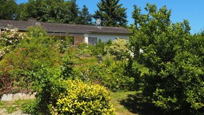 A house surrounded by dense greenery and trees. - Holiday Home Villa Bauer (Traben-Trarbach)