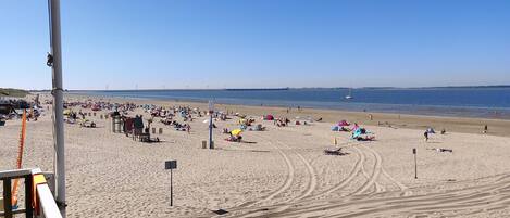 House | Pemandangan dari hartanah