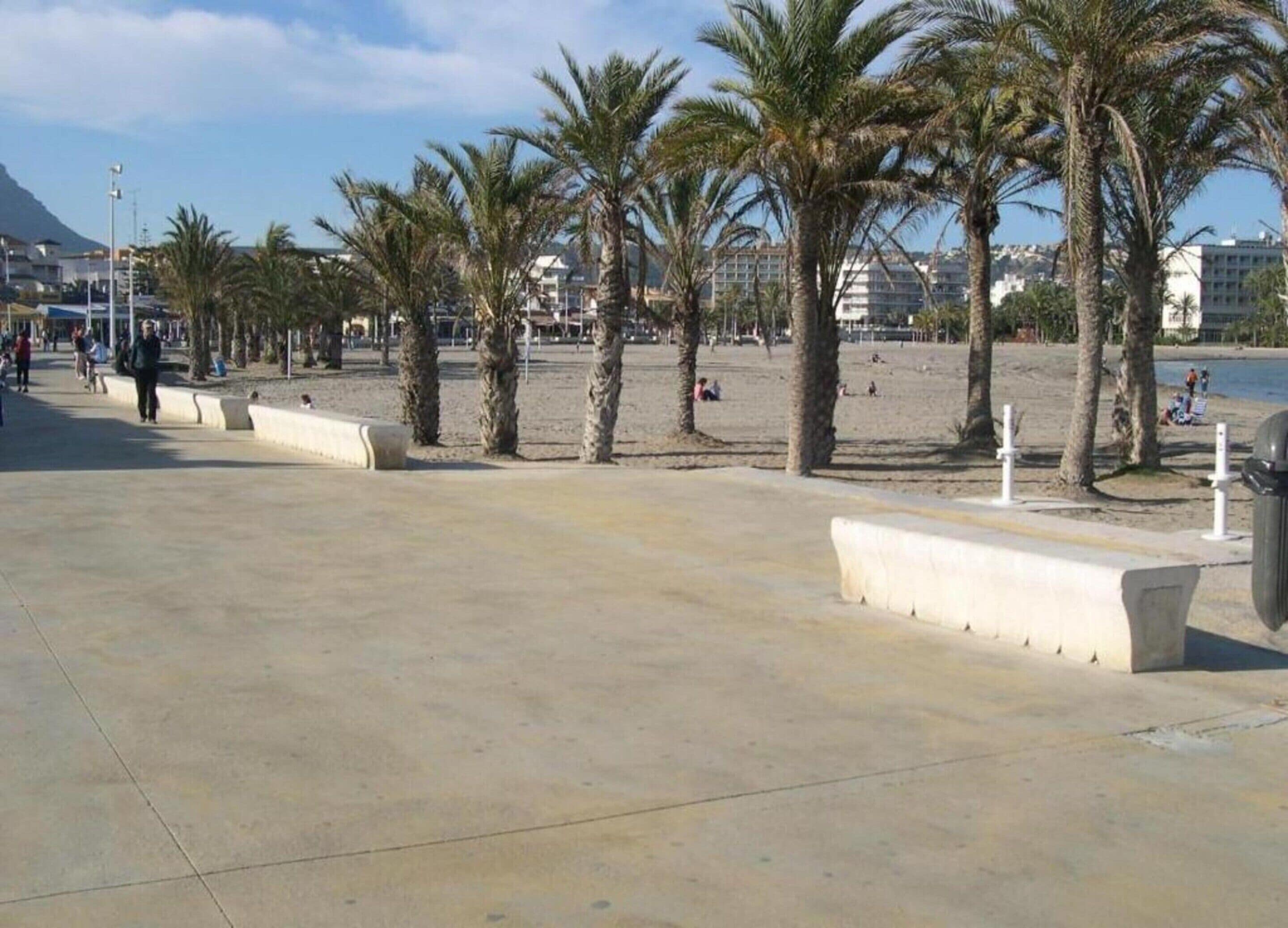 Une promenade en bord de mer bordée de palmiers, une plage de sable et des bâtiments en arrière-plan.