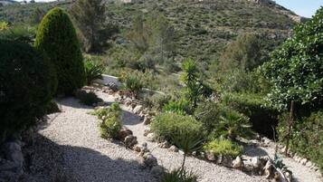 Un sendero de grava serpentea por un jardín ajardinado, con diversas plantas y una colina al fondo.