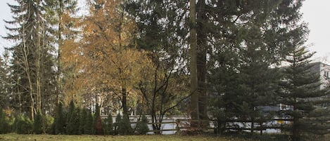 A park with a gravel path, tall trees, and a fence.