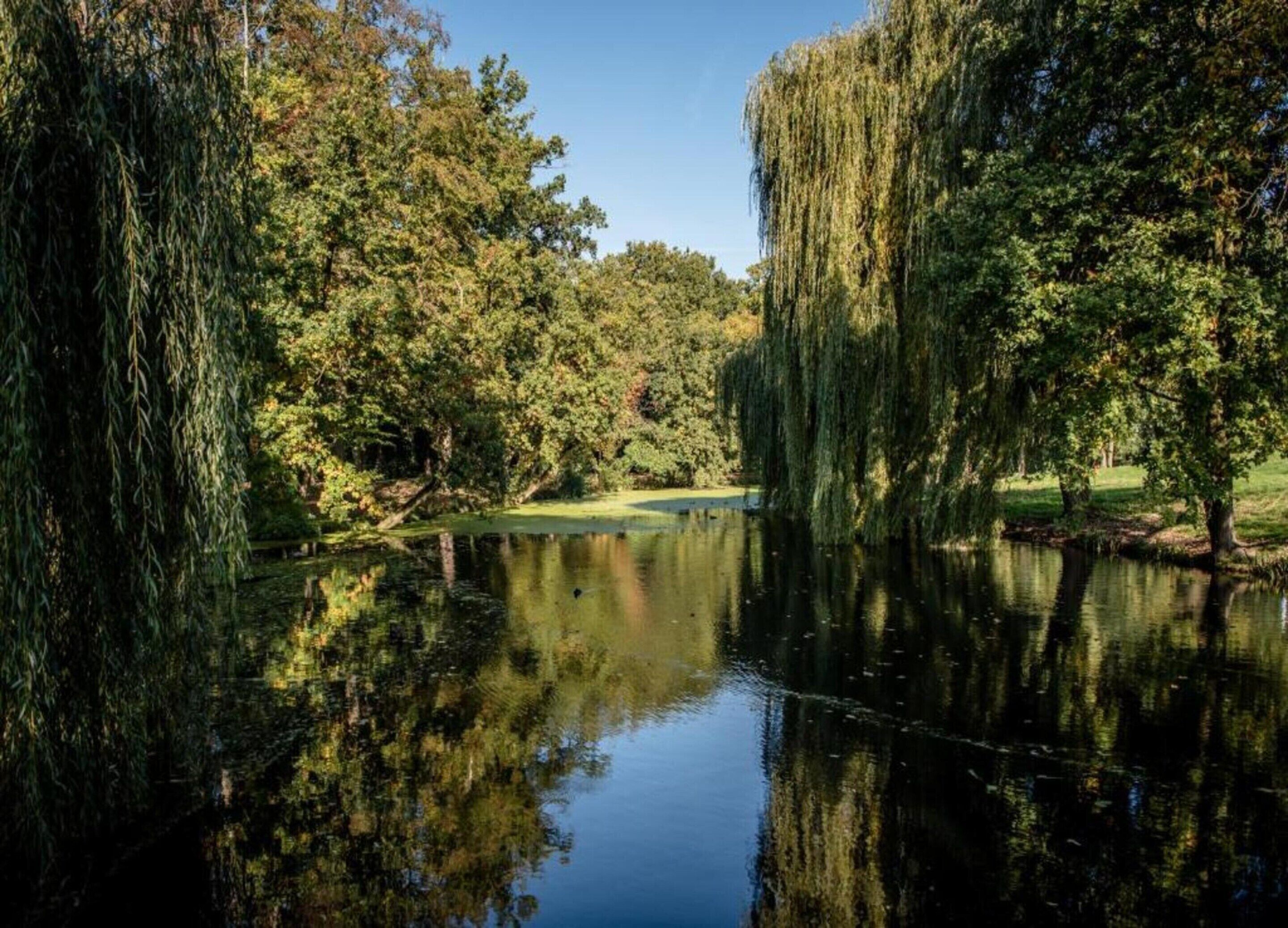 Uitzicht vanuit accommodatie