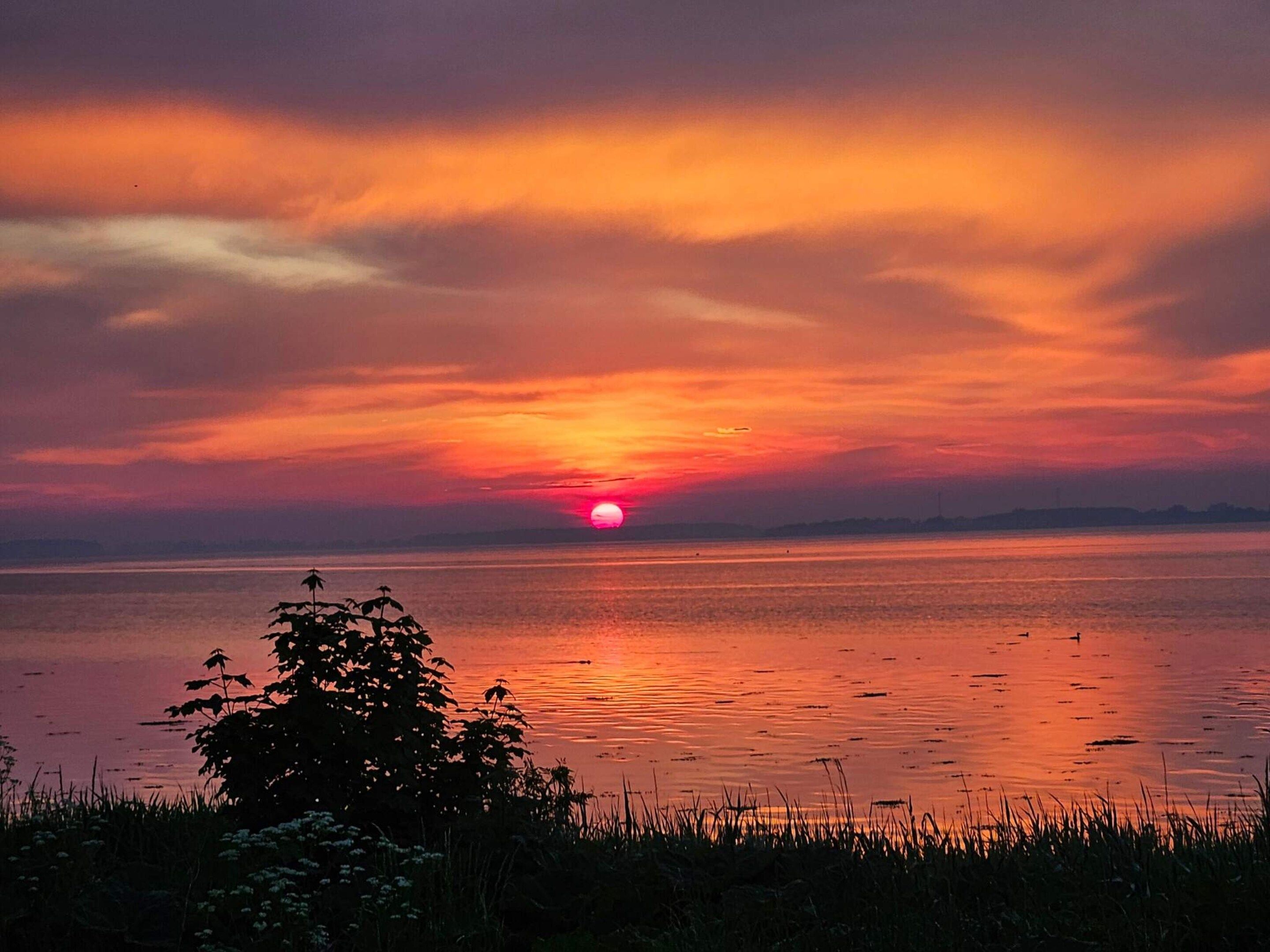 Een zonsondergang boven kalm water, met silhouetten van begroeiing op de voorgrond.