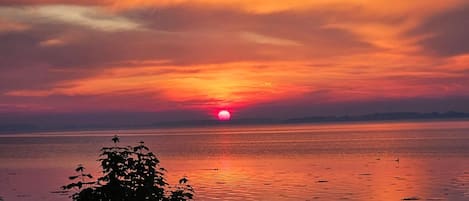 수변 전망