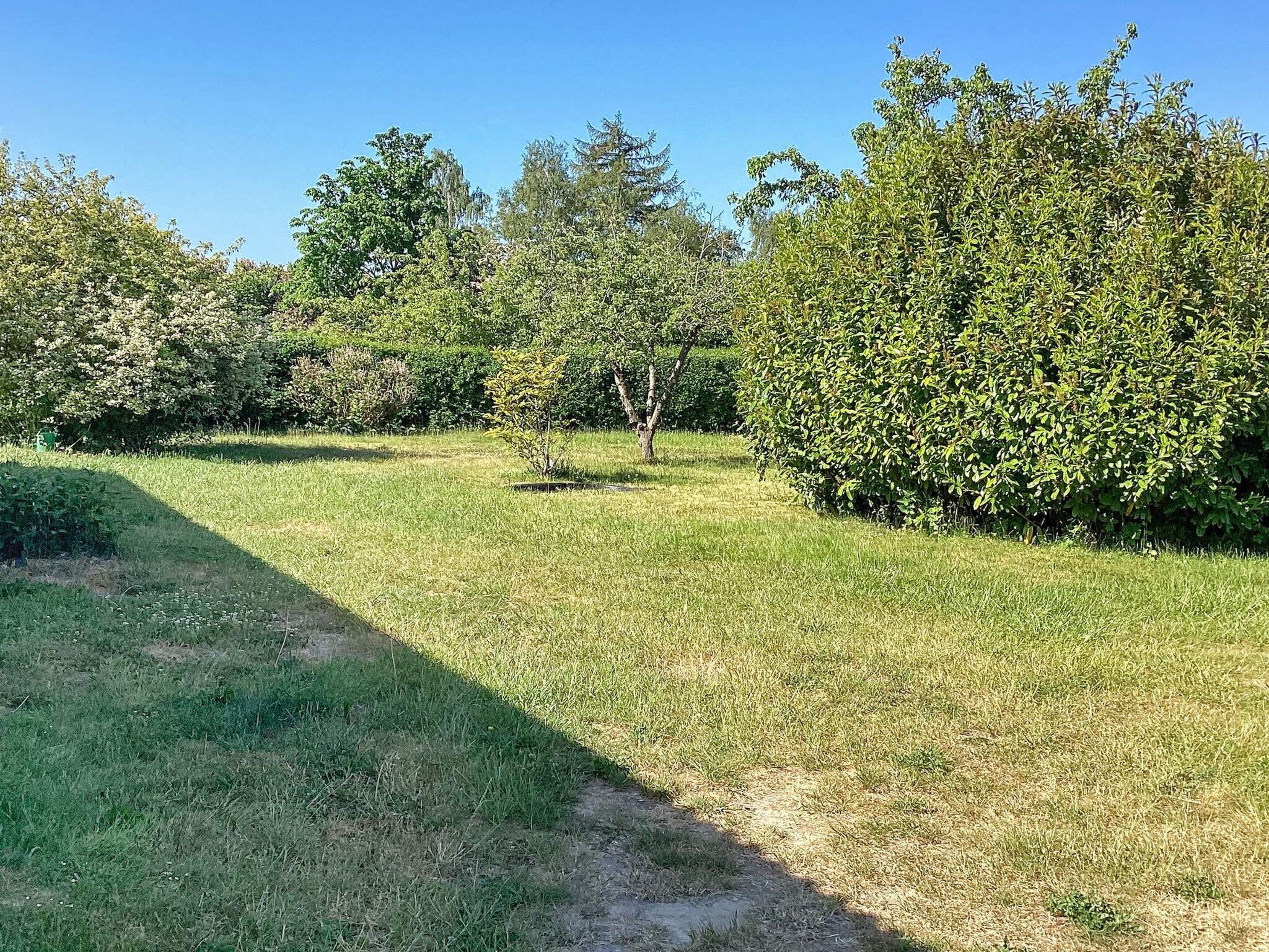 A grassy outdoor area with trees and a clear sky.