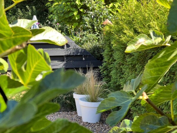 Escape to a serene oasis surrounded by lush greenery and a tranquil atmosphere.