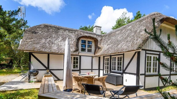 Unclassified image, 1 of 32, button - 4 Person Holiday Home in Norre Nebel (Norre Nebel)