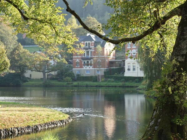 Exterior - Holiday Apartment at the Gondola Pond (Bad Elster)