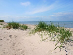 A sandy beach with green grass in the foreground and a clear blue sky.