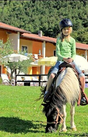 Ferienhaus | Unterkunftsgelände