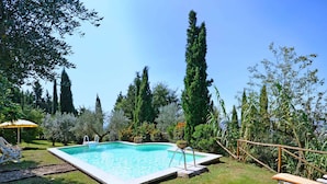 A rectangular swimming pool with a ladder, surrounded by grass and trees.
