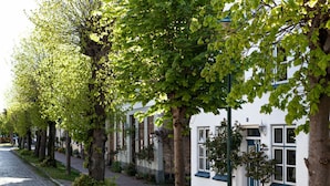 A row of white buildings with blue trim, a cobblestone street, and trees lining the sidewalk. - Liefde Voor de Schlei (Arnis)