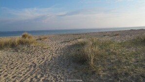 A beach with sand and sparse grass. - Liefde Voor de Schlei (Arnis)