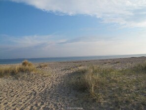 Beach - Liefde Voor de Schlei (Arnis)