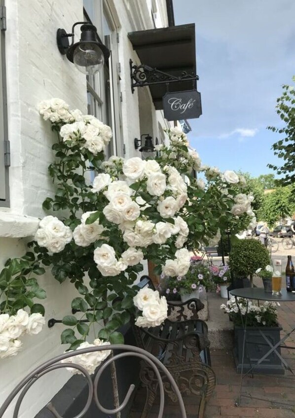 1 bedroom, individually furnished - Liefde Voor de Schlei (Arnis)