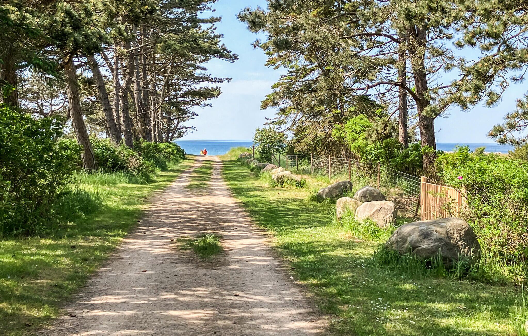 A dirt path leading to a beach with a wooden fence and large rocks on the right.