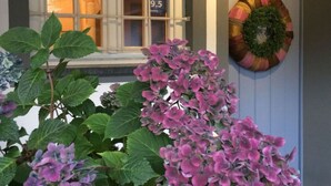 Janela com placa de avaliação, grinalda na porta e plantas de hortênsia em frente.