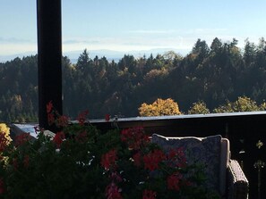 View from property - Apartment Deluxe Suite (Hoechenschwand)