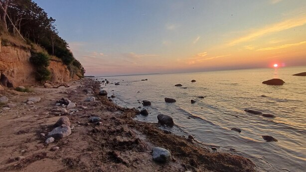 Une plage avec des rochers et des algues, une falaise couverte de végétation, et le soleil se couchant sur l’eau.