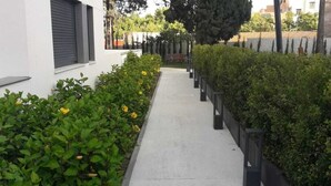 A pathway flanked by neatly trimmed hedges and a row of black bollards. - Belvilla by OYO Apartamento Port Avenue (Marbella)