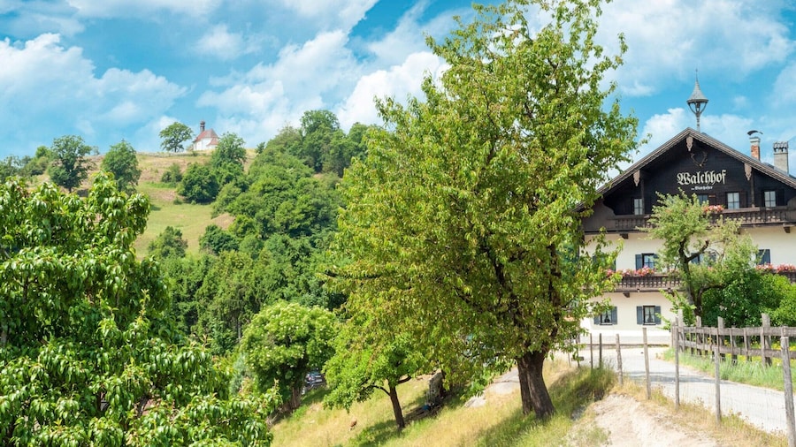 Apartment Kirchbichl Near Wildschonau Ski Slope