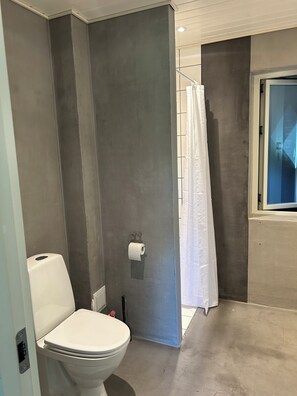Shower, hair dryer, soap, toilet paper