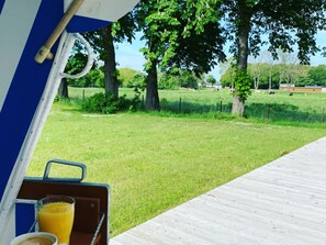 A view from a boat deck with a grassy field and trees in the background. - Poggenhof/ West Requits (Schaprode)