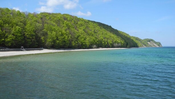 A coastal landscape with a forested hill and a beach. - House Movennest (Mönchgut-Granitz)