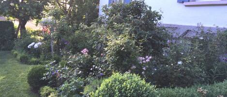 A white building with blue shutters and a well-maintained garden with various shrubs and flowers.