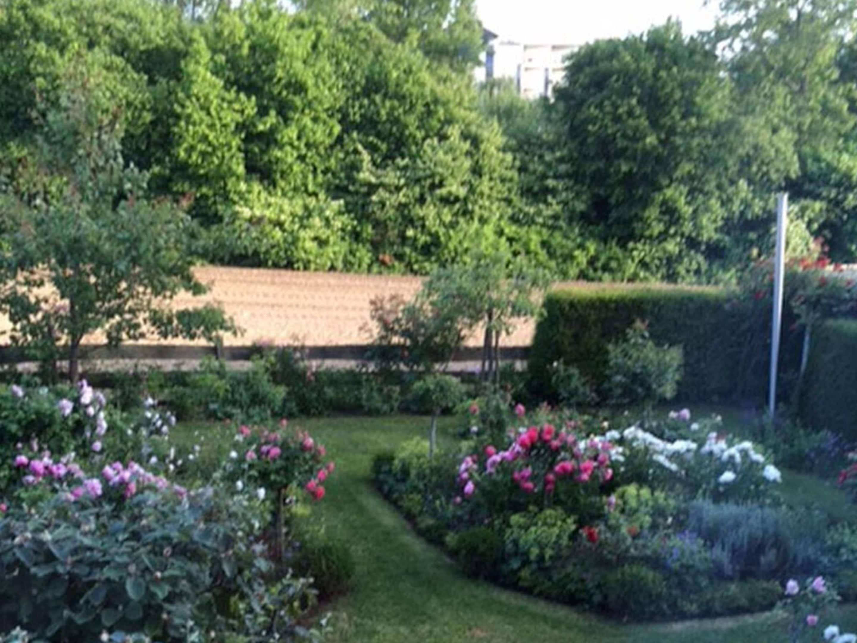 Un jardín con diversas plantas y flores, un seto bien cuidado y un edificio al fondo.