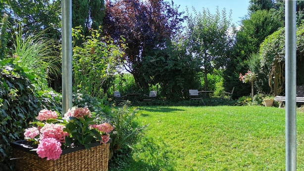 Ein üppiger Garten mit einem Rasen, einem Korbuschrank mit rosa Blumen und einer Bank.