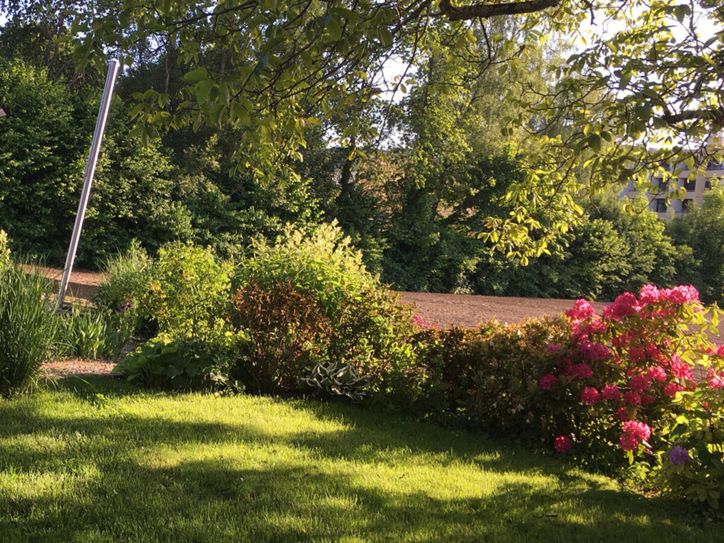 A lush garden with a variety of plants and flowers, a metal pole, and a building in the background.