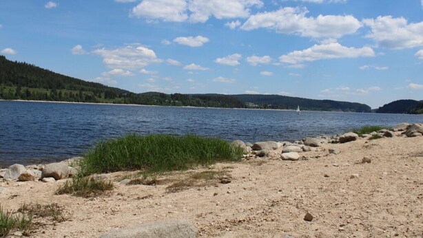 A lakeside view with a sandy beach, scattered rocks, and a distant sailboat. - Holiday Apartment Biermann (Schluchsee)