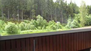 A view from a balcony with a wooden railing, overlooking a dense forest with tall trees and undergrowth. - Holiday Apartment Biermann (Schluchsee)
