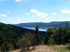 Beach - Holiday Apartment Biermann (Schluchsee)