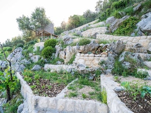 Apartment | Exterior