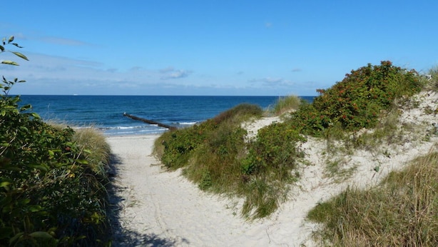 Caminho de areia que leva ao oceano, rodeado por vegetação e dunas.