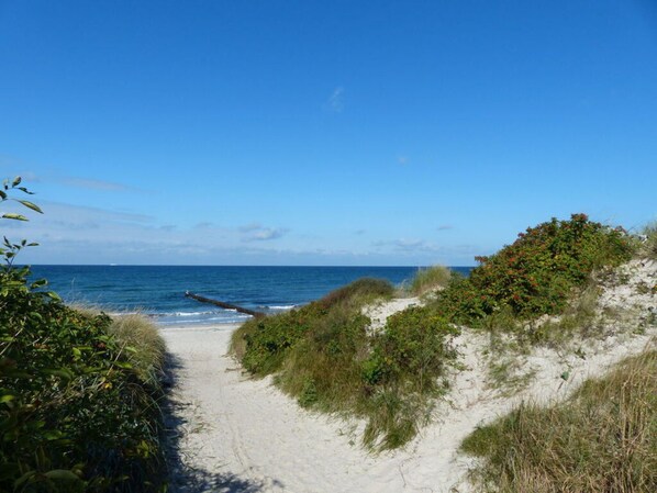 Beach - Apartment in Ostseebad Ahrenshoop (Ostseebad Wustrow)