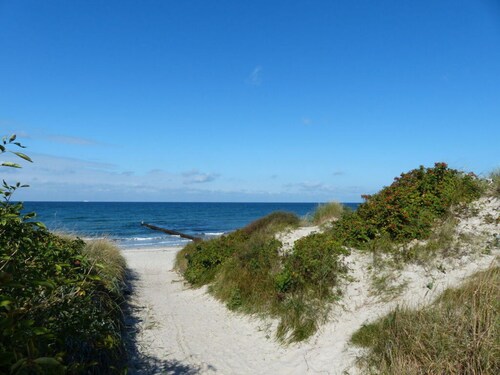 Apartment in Ostseebad Ahrenshoop