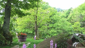 A garden with stone steps leading to a flower bed, surrounded by lush greenery and trees. - Holiday Home in Sassetta Near Beaches (Castagneto Carducci)