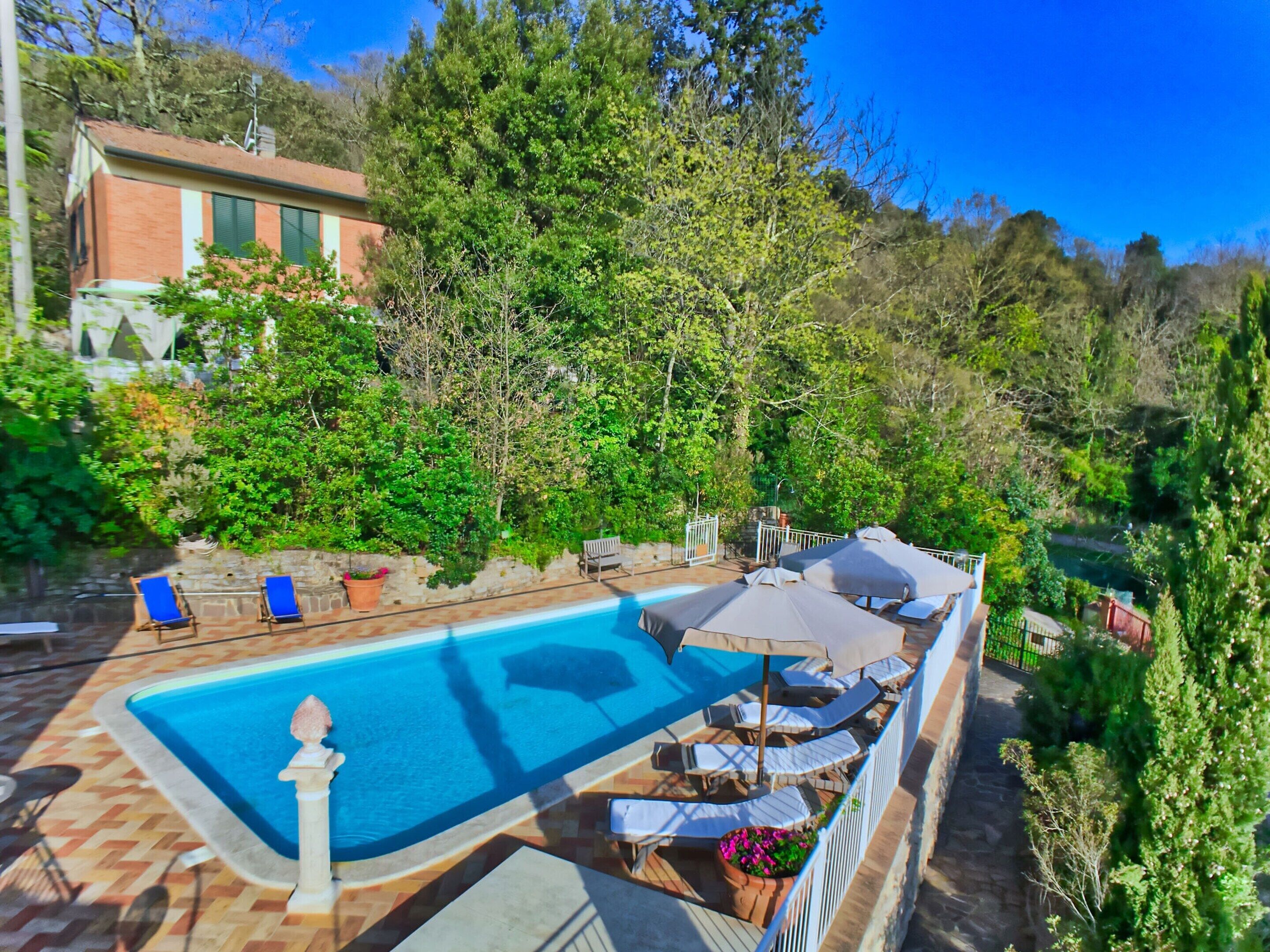 House | Pool | Outdoor pool